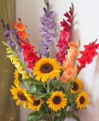 Ingeborg Becker Lebensrhythmen