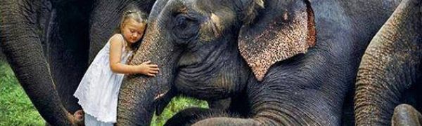 Ingeborg Becker Lebensrhythmen